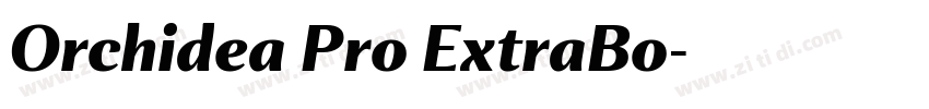 Orchidea Pro ExtraBo字体转换